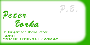 peter borka business card