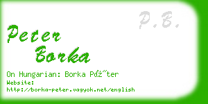 peter borka business card